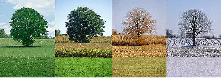 《仙剑世界》首发定档预告 2025年1月9日上线